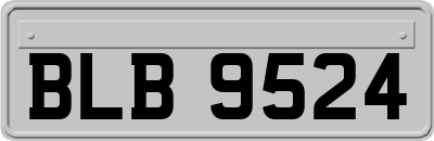 BLB9524