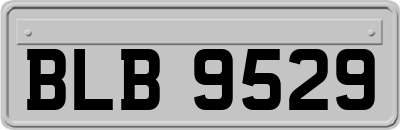 BLB9529
