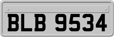 BLB9534