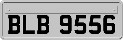 BLB9556