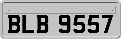 BLB9557