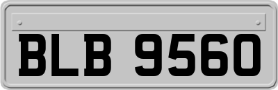 BLB9560