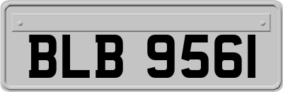 BLB9561