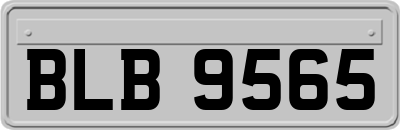 BLB9565