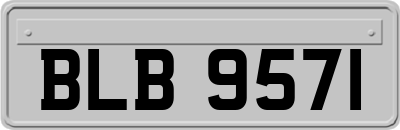 BLB9571