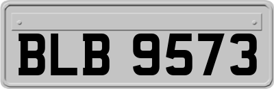 BLB9573