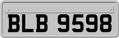 BLB9598