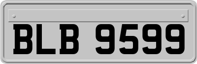 BLB9599