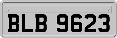 BLB9623