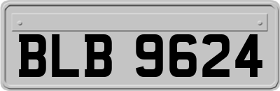 BLB9624