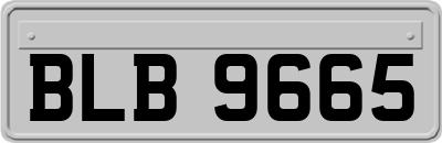 BLB9665