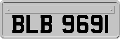 BLB9691