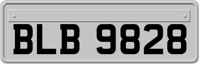 BLB9828