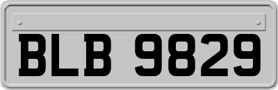 BLB9829