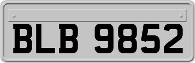 BLB9852