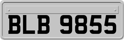BLB9855