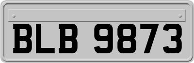 BLB9873