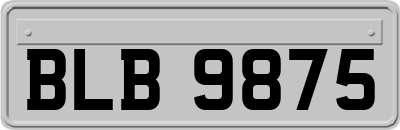 BLB9875