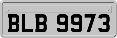 BLB9973