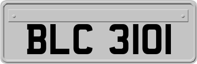 BLC3101