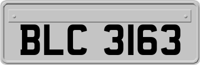 BLC3163