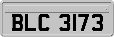BLC3173