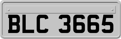 BLC3665