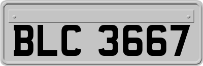 BLC3667
