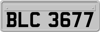BLC3677