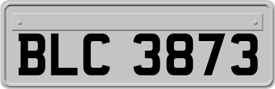 BLC3873
