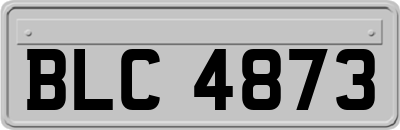 BLC4873