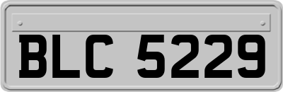 BLC5229