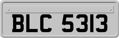 BLC5313