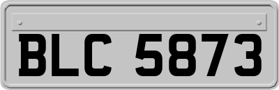 BLC5873