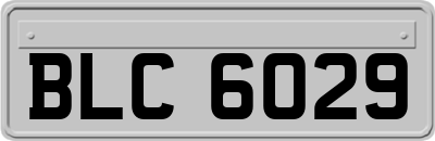 BLC6029