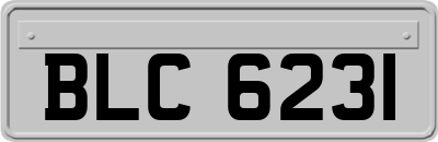 BLC6231