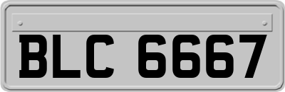 BLC6667