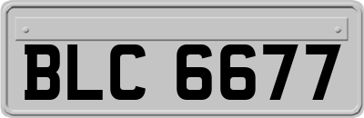 BLC6677