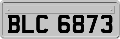 BLC6873