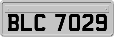 BLC7029