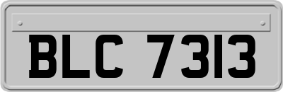BLC7313
