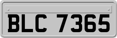 BLC7365