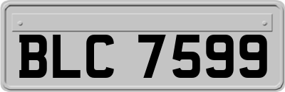 BLC7599