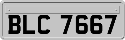 BLC7667