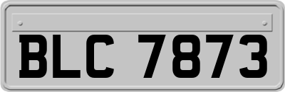 BLC7873