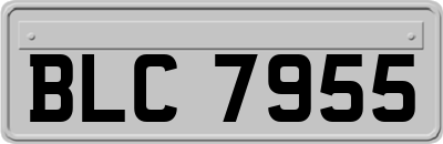 BLC7955