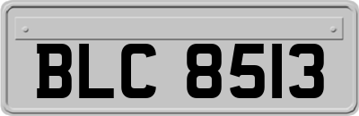 BLC8513
