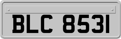 BLC8531
