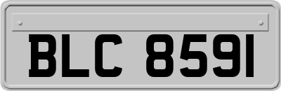 BLC8591