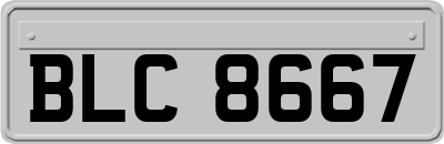 BLC8667